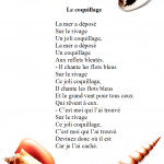 Poésie le coquillage