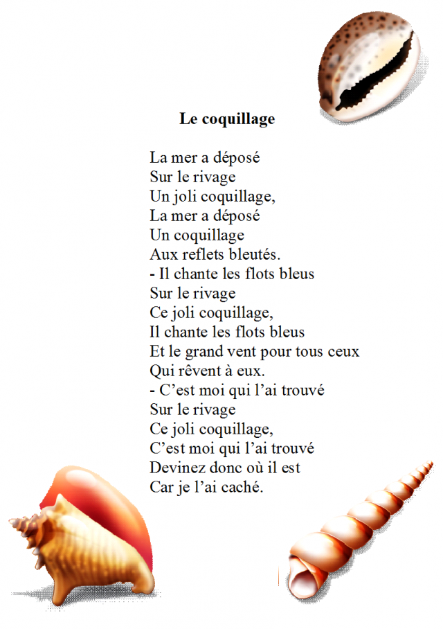 Poésie le coquillage
