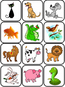 images flashcards animaux 