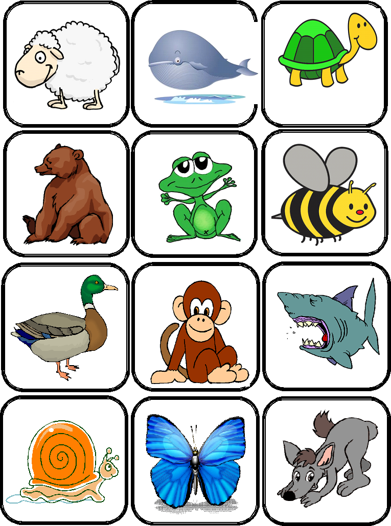 images flashcards animaux 