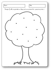 Activité sur la pomme