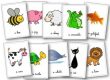 Flascards animaux