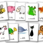 Flascards animaux