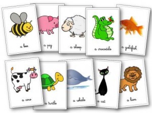 Les Animaux En Anglais Aux Cycles 2 Et 3 Flashcards Lecons Memory