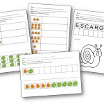 Activités sur les escargots