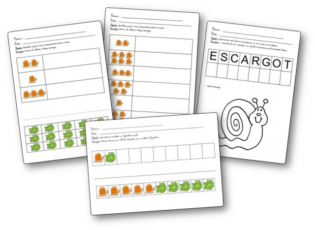 Activités sur les escargots