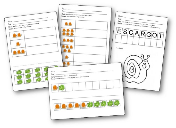 Activités sur les escargots