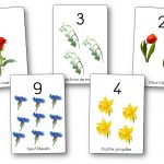 Affichages des chiffres et des nombres : les fleurs