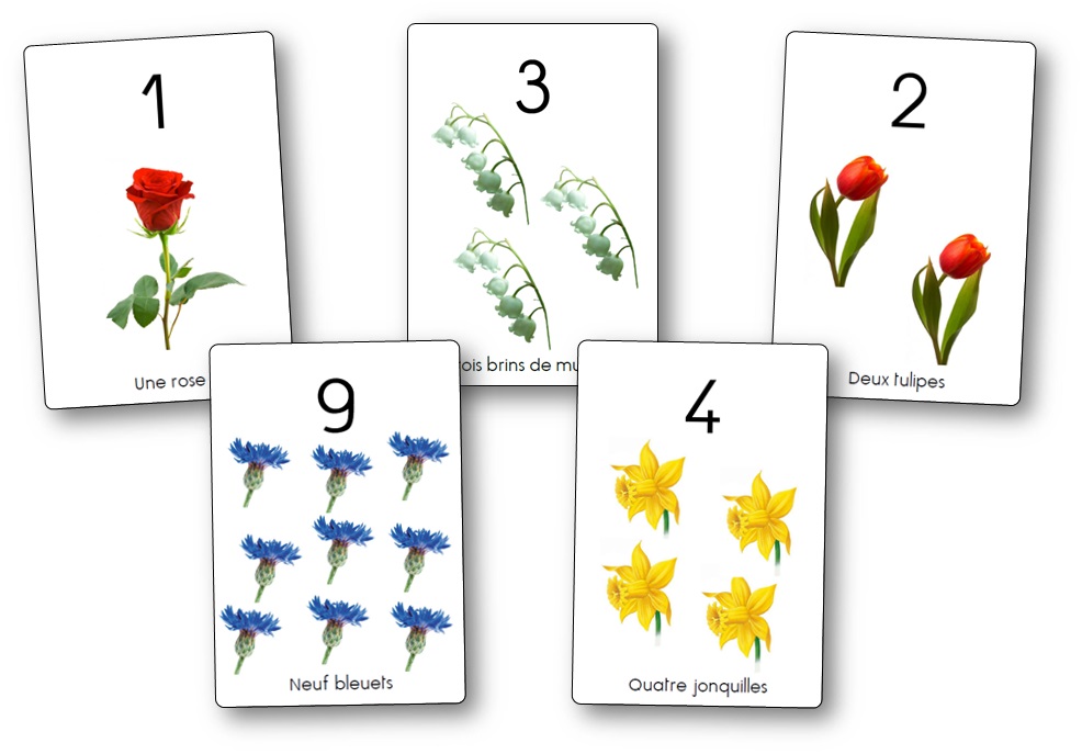 Affichages des chiffres et des nombres : les fleurs