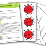 Jeu mathématiques Les points des coccinelles