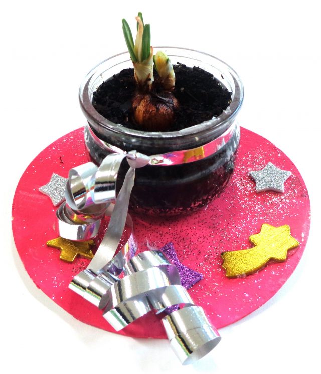 Crocus idée de cadeau de Noël en maternelle