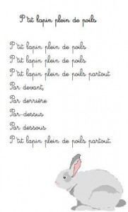 Comptine P'tit lapin plein de poils