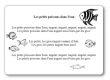 Les petits poissons dans l eau
