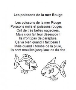 Comptine Les poissons de la mer Rouge