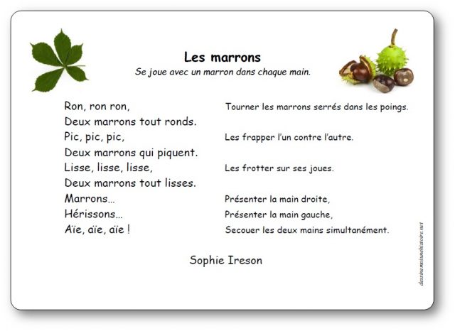Les marrons de Sophie Ireson