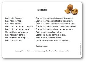 Mes noix de Sophie Ireson