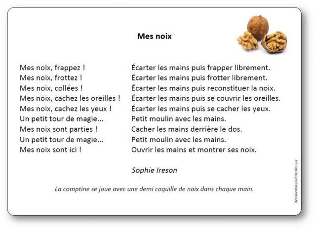 Mes noix de Sophie Ireson