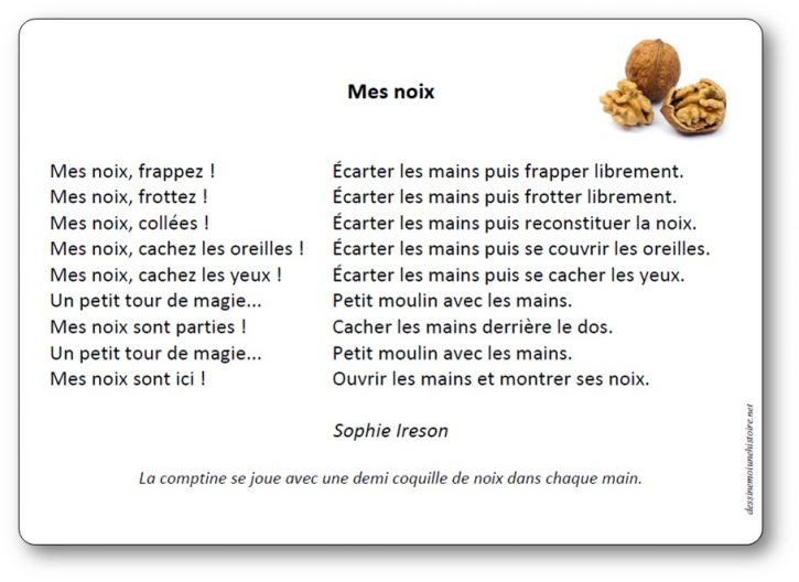 Mes noix de Sophie Ireson