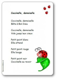 Comptine Coccinelle demoiselle