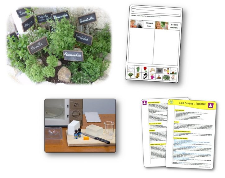 Les 5 sens : l'odorat