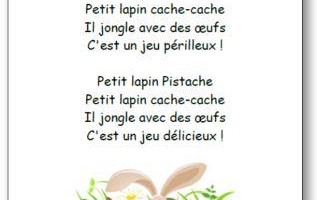 Comptine Petit lapin Pistache