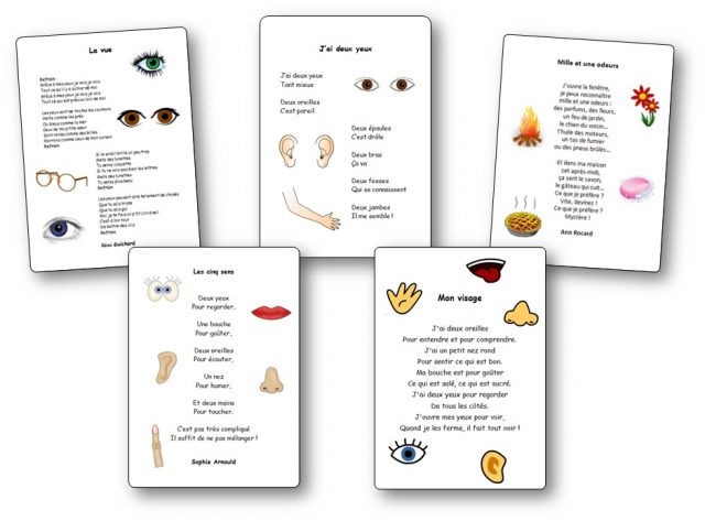 Chansons corps et les 5 sens