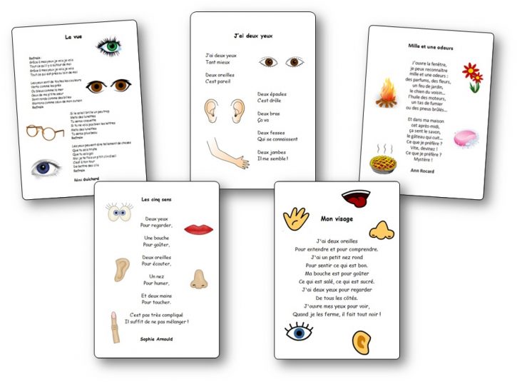 Chansons corps et les 5 sens