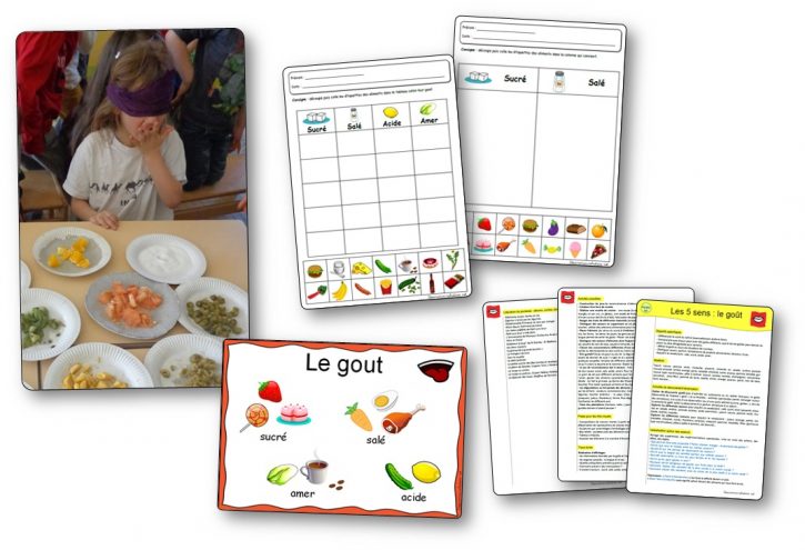 Les 5 sens : le goût