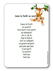 Comptine Dans la forêt un ouistiti
