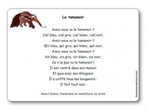 Comptine Le tamanoir