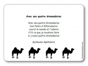 Poésie Avec ses quatre dromadaires
