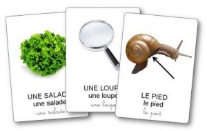 imagier sur l élevage d escargots