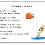 Poésie L escargot et la limace Corinne Albaut