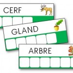 Fiches d encodage atelier des mots sur l automne