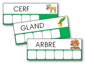 Fiches d encodage atelier des mots sur l automne