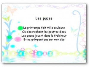 Comptine Les puces
