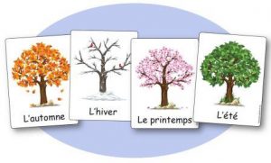 Affiches des 4 saisons en maternelle écriture script