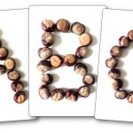 Fiches modèles alphabet avec des marrons