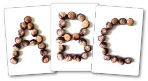 Fiches modèles alphabet avec des marrons