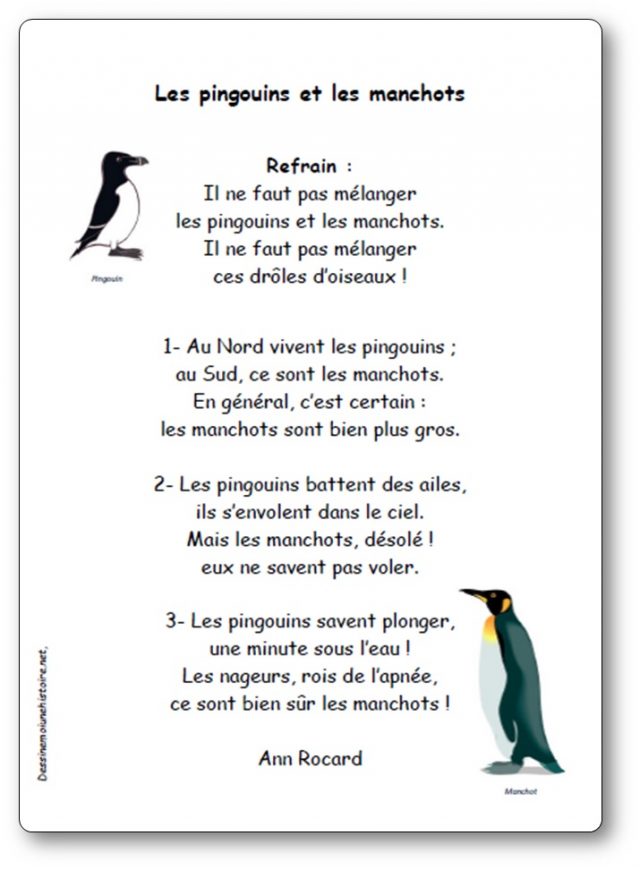 Chanson les pingouins et les manchots d'Ann Rocard