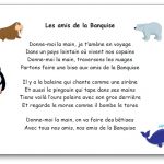 Comptine Les amis de la banquise