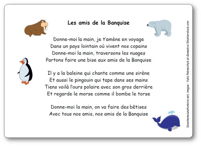 Comptine Les amis de la banquise