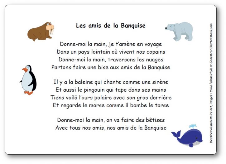 Comptine Les amis de la banquise
