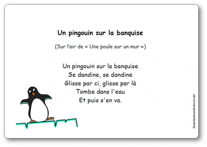 Comptine Un pingouin sur la banquise qui se dandine