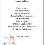 Poésie L'ours polaire de François David