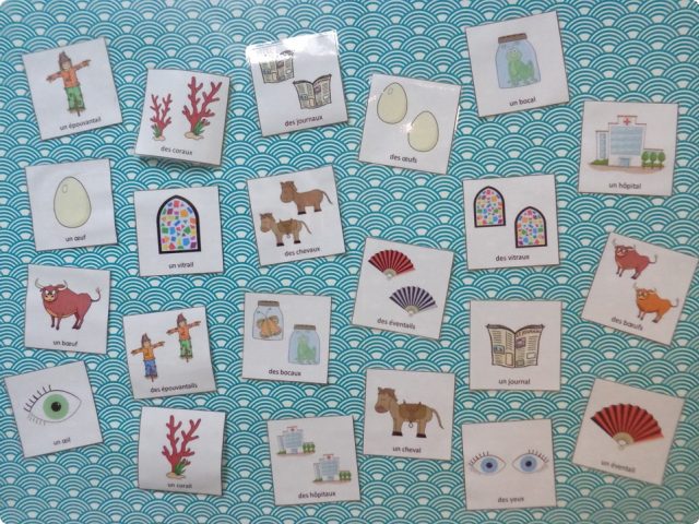jeu-pluriels-irréguliers-mémory-maternelle jeu de mémory des pluriels