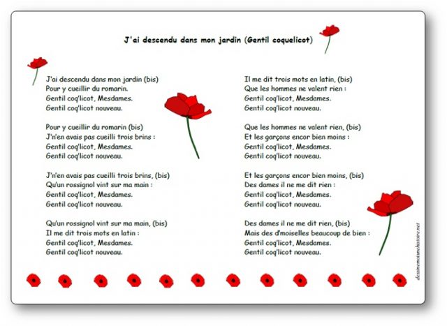 Gentil coquelicot