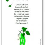 Comptine Le haricot vert