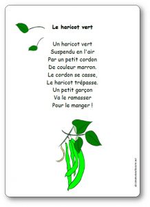 Comptine Le haricot vert