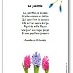 Poésie jacinthe Anastasia Ortenzio